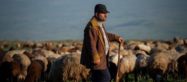 От Арагаца до Арарата: народ, который любит армянские горы не меньше армян - Sputnik Армения