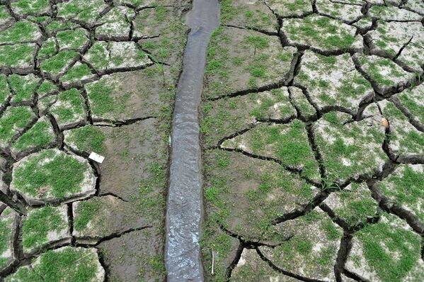 Иссохшая земля у водохранилища Лос-Лорелес в Тегусигальпе в апреле 2019 года - Sputnik Армения