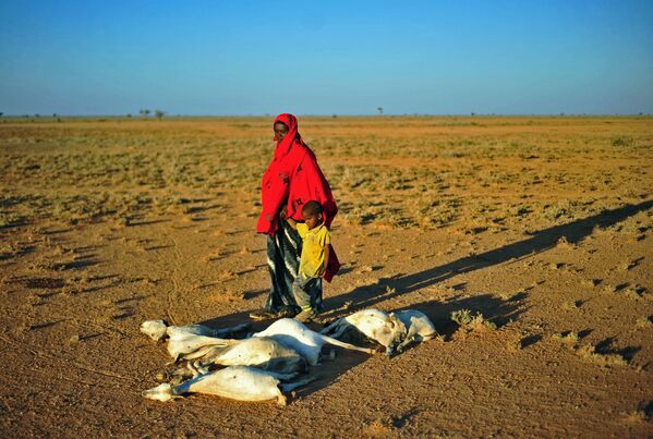 Женщина с ребенком проходят мимо стада мертвых коз в засушливой местности недалеко от Дахара в Пунтленде - Sputnik Армения