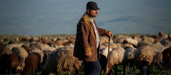 Արագածից մինչև Արարատ․ ազգ, որը հայերի չափ սիրում է հայոց լեռները Արագածից մինչև Արարատ․ ազգ, որը հայերի չափ սիրում է հայոց լեռները - Sputnik Արմենիա