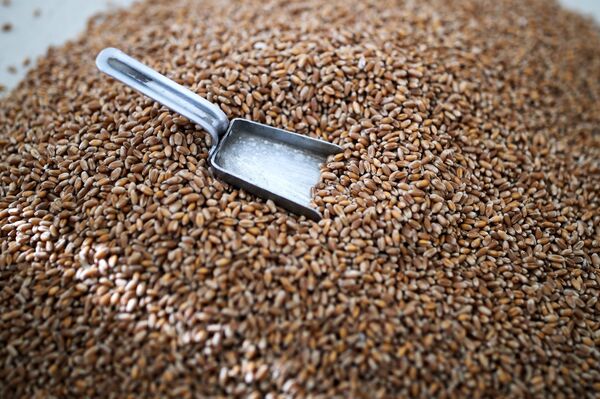 Русские заново откроют Армению: в Краснодаре появятся булгур и похиндз - Sputnik Армения