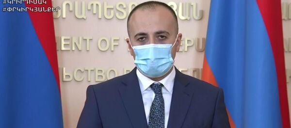 Министр здравоохранения Арсен Торосян на онлайн брифинге (22 июня 2020). Еревaн Министр здравоохранения Арсен Торосян на онлайн брифинге (22 июня 2020). Еревaн - Sputnik Армения