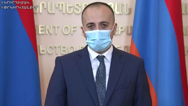 Министр здравоохранения Арсен Торосян на онлайн брифинге (22 июня 2020). Еревaн - Sputnik Армения