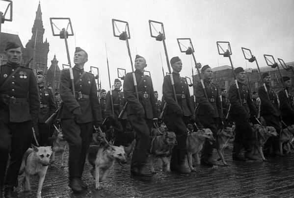 Минеры с собаками минно-розыскной службы на Параде Победы на Красной площади 24 июня 1945 года - Sputnik Армения