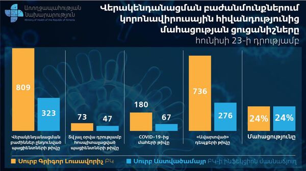 В Армении смертность от COVID-19 составляет 24% - Торосян объяснил, почему он доволен - Sputnik Армения