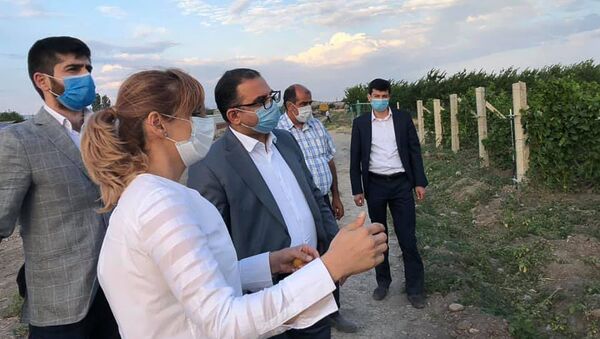 Министр экономики Тигран Хачатрян встретился с виноделами (27 июня 2020). Армавир - Sputnik Армения