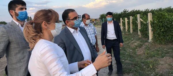 Министр экономики Тигран Хачатрян встретился с виноделами (27 июня 2020). Армавир Министр экономики Тигран Хачатрян встретился с виноделами (27 июня 2020). Армавир - Sputnik Արմենիա