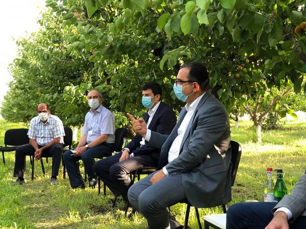 Խաղողի բերքն առատ կլինի, լրացուցիչ վարկ կտրամադրվի. նախարարն ու գինեգործները հանդիպել են Խաղողի բերքն առատ կլինի, լրացուցիչ վարկ կտրամադրվի. նախարարն ու գինեգործները հանդիպել են - Sputnik Արմենիա