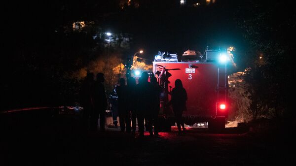 Спасатели МЧС на месте пожара в Цицернакаберде (26 июня 2020). Еревaн - Sputnik Արմենիա