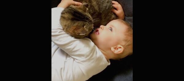 Ребенок убеждает котенка - Sputnik Армения