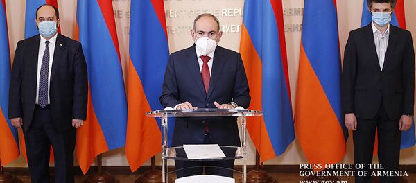 Oнлайн брифинг с участием премьер-министра Никола Пашиняна, министра Араика Арутюняна и директора института молекулярной биологии Арсена Аракеляна (1 июля 2020). Еревaн - Sputnik Արմենիա