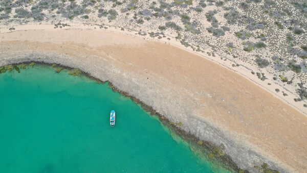 Общий вид области, где нашли подводные артефакты, датируемые тысячелетиями, когда морское дно было сушей, Австралия - Sputnik Արմենիա