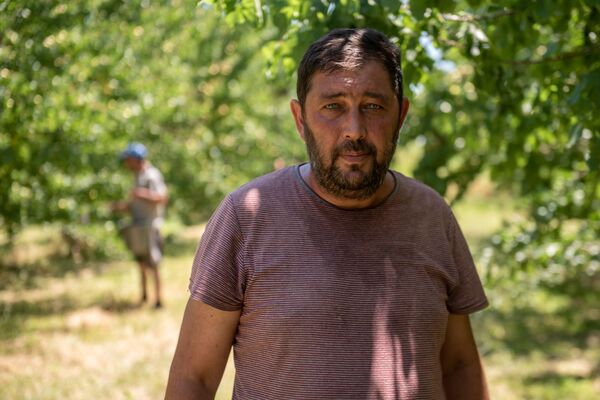 «Հայուհին ծիրան չսիրի՞, ոնց կարող է». կամ ինչպես խոպանչիները գործ գտան Արմավիրում - Sputnik Արմենիա