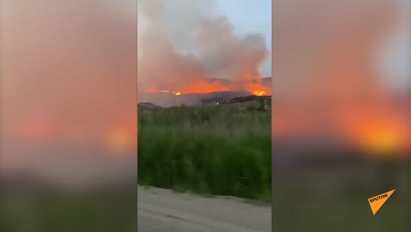 Пожар в Вайоц Дзоре - Sputnik Армения