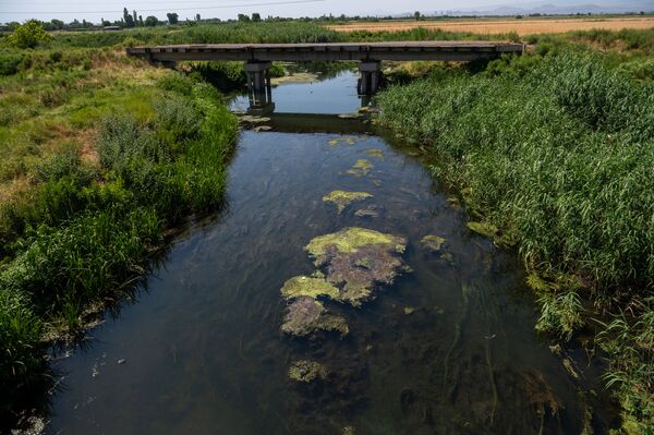 Ինչո՞ւ չի թռչում արագիլը. սևացած փետուրներով թռչուններ, որոնց չի գտնում տեսչական մարմինը  - Sputnik Արմենիա