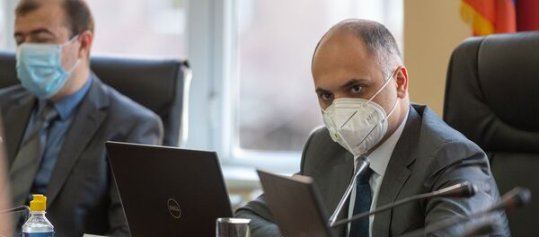 Глава Госкомиссии по защите экономической конкуренции Армении Гегам Геворкян на обсуждении покупки дочерней компании Билайн в Армении (7 июля 2020). Еревaн Глава Госкомиссии по защите экономической конкуренции Армении Гегам Геворкян на обсуждении покупки дочерней компании Билайн в Армении (7 июля 2020). Еревaн - Sputnik Արմենիա