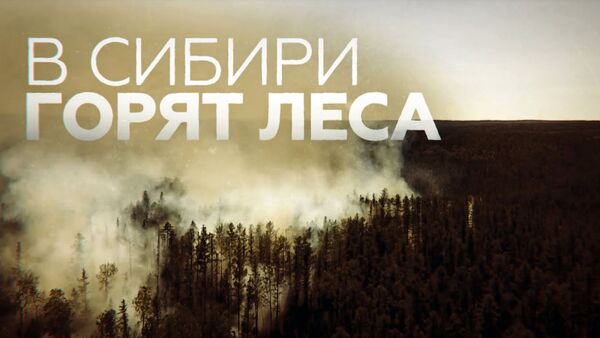 Тушение лесных пожаров в Якутии и Красноярском крае - Sputnik Армения