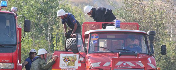 Пожар в Ботаническом саду Еревана - Sputnik Արմենիա