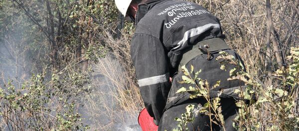 Пожар в Ботаническом саду Еревана - Sputnik Армения