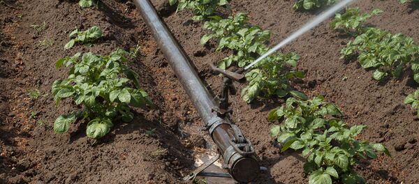 Орошение Орошение - Sputnik Արմենիա