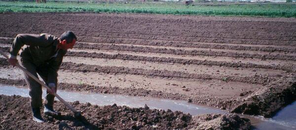 Орошение Орошение - Sputnik Արմենիա