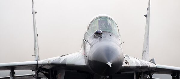 Авиабаза в Эребуни. Истребитель Авиабаза в Эребуни. Истребитель - Sputnik Армения
