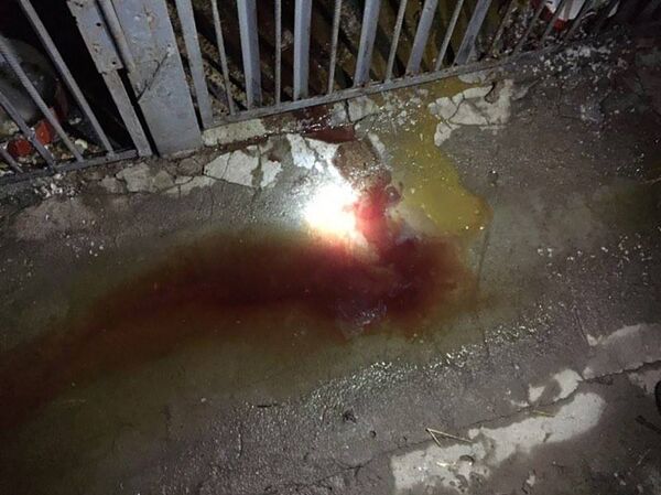 Фотографии, сделанные в Юниграф Икс Фотографии, сделанные в Юниграф Икс - Sputnik Արմենիա