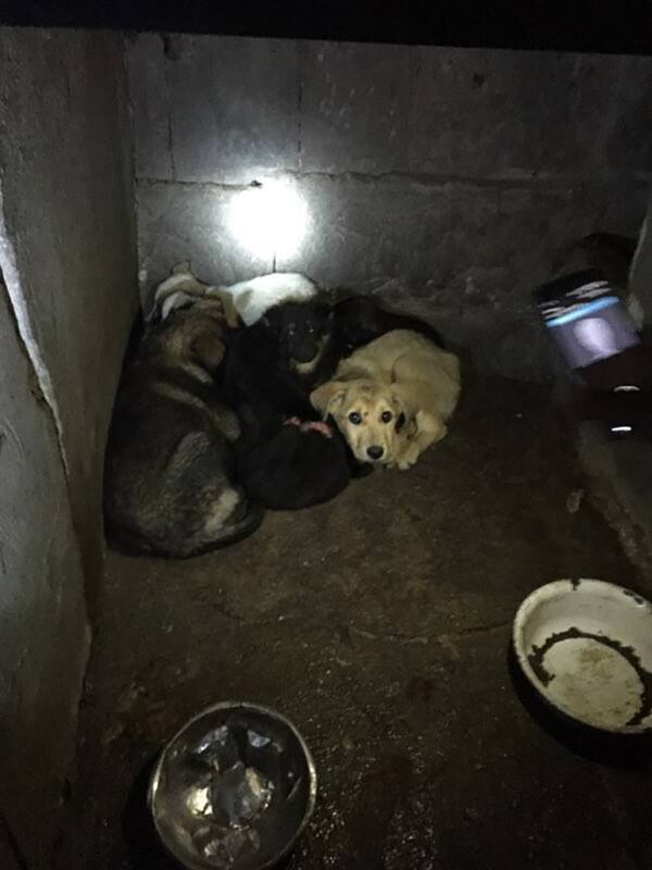 Фотографии, сделанные в Юниграф Икс Фотографии, сделанные в Юниграф Икс - Sputnik Արմենիա