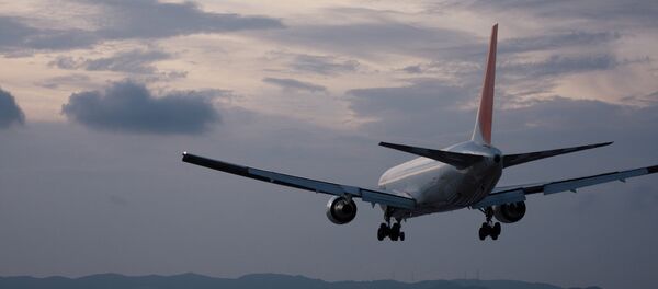 Самолет. Посадка - Sputnik Армения