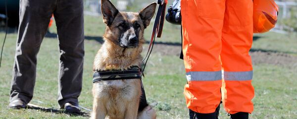 Открытие армяно-российского центра гуманитарного реагирования - Sputnik Армения