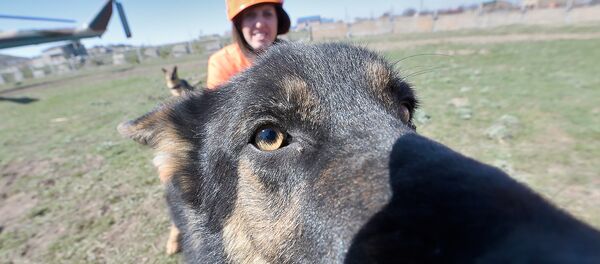 Открытие армяно-российского центра гуманитарного реагирования Открытие армяно-российского центра гуманитарного реагирования - Sputnik Армения