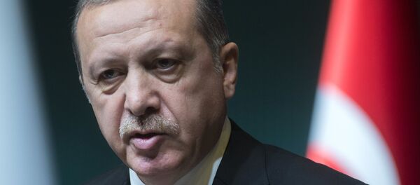 Рабочий визит В.Путина вТурцию Рабочий визит В.Путина вТурцию - Sputnik Արմենիա