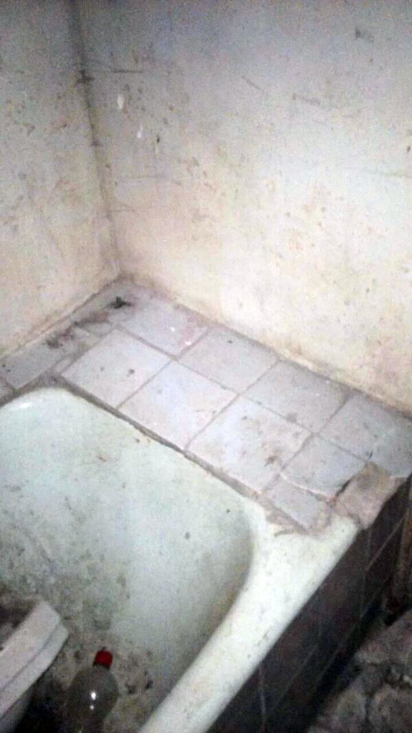 Дом, выданный Лене Авагумян  - Sputnik Արմենիա