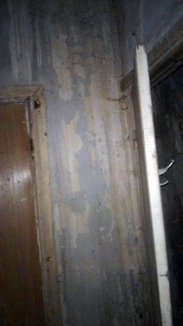 Дом, выданный Лене Авагумян Дом, выданный Лене Авагумян - Sputnik Армения