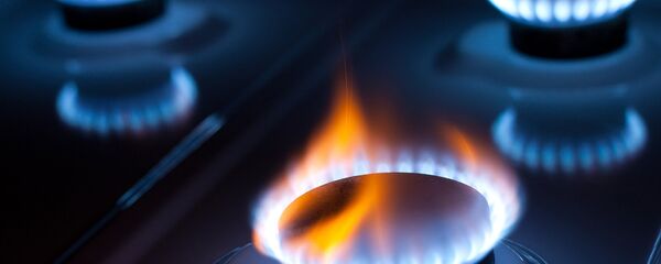 Газовая плита - Sputnik Армения