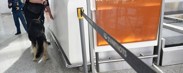 Аэропорт Звартноц после сообщения о бомбе - Sputnik Армения