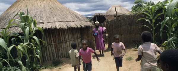 Где-то в Зимбабве Где-то в Зимбабве - Sputnik Армения