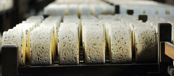 Сыр рокфор. Франция - Sputnik Армения