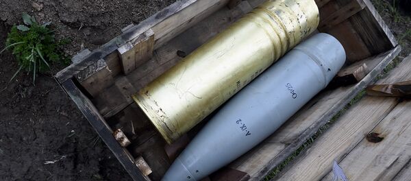 Ситуация в Мадагисе Ситуация в Мадагисе - Sputnik Արմենիա