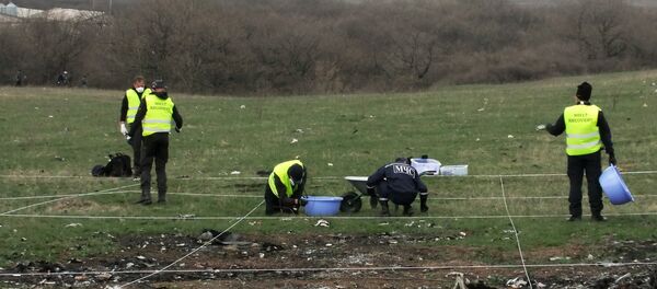 Эксперты из Нидерландов и Малайзии посетили место крушения Боинга в Донецкой области - Sputnik Արմենիա