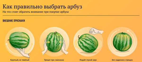 Инфографика. Как выбрать спелый и сочный арбуз Инфографика. Как выбрать спелый и сочный арбуз - Sputnik Армения