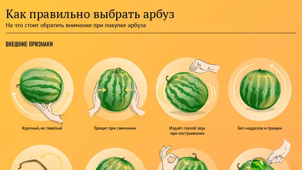 Инфографика. Как выбрать спелый и сочный арбуз - Sputnik Армения