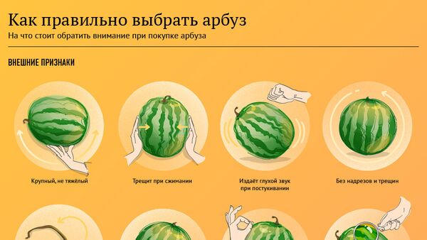 Инфографика. Как выбрать спелый и сочный арбуз - Sputnik Արմենիա