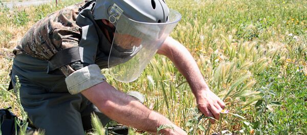 Армянский сапер Армянский сапер - Sputnik Армения