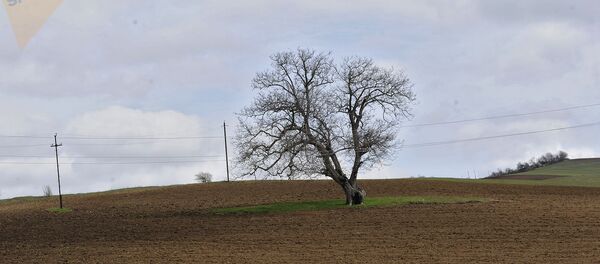 Адрут. Нагорный Карабах Адрут. Нагорный Карабах - Sputnik Армения