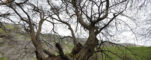 Гадрут. Нагорный Карабах Гадрут. Нагорный Карабах - Sputnik Армения