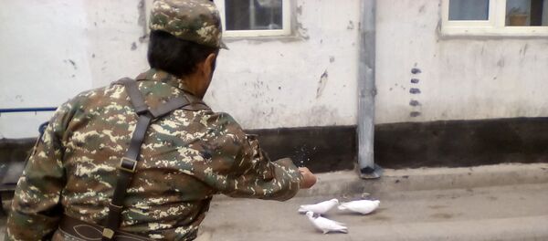 Армянский доброволец кормит голубей (апрель 2016). Нагорный Карабах - Sputnik Армения