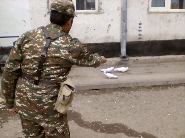 Армянский доброволец кормит голубей (апрель 2016). Нагорный Карабах Армянский доброволец кормит голубей (апрель 2016). Нагорный Карабах - Sputnik Արմենիա