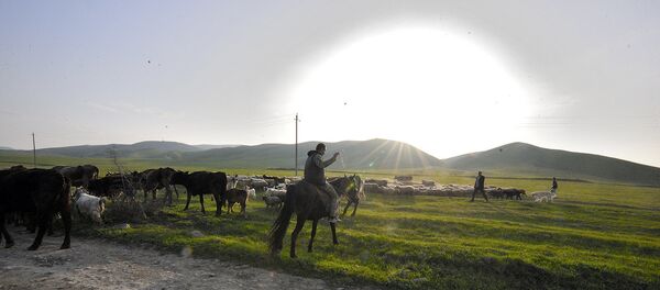 Талыш после обстрелов Талыш после обстрелов - Sputnik Արմենիա