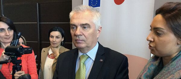Руководитель делегации ЕС в Армении, посол Петр Свитальский Руководитель делегации ЕС в Армении, посол Петр Свитальский - Sputnik Армения